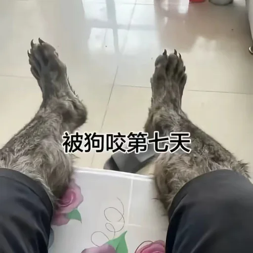 野人公会 头像